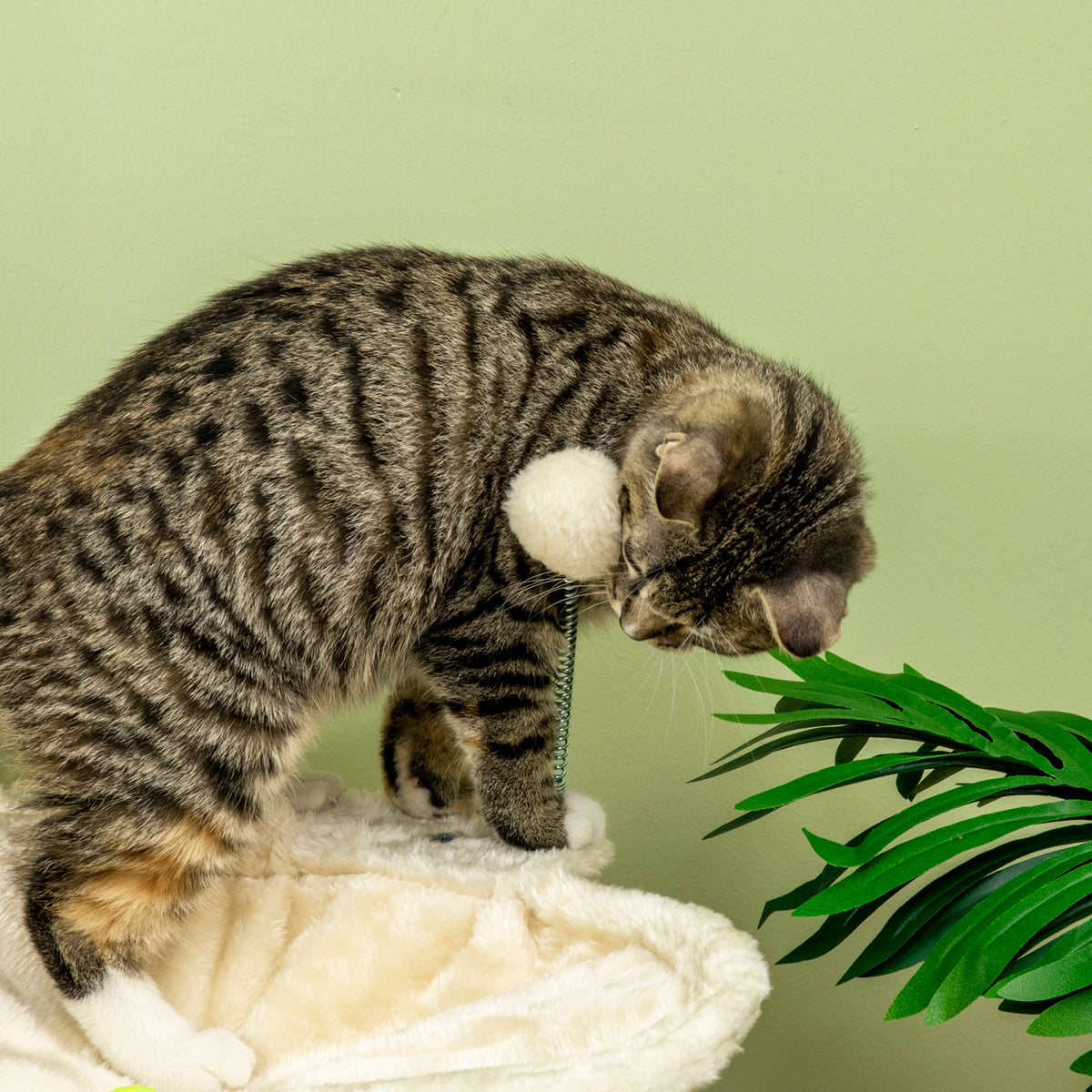 Cat Tree, with Scratching Posts, Hammock, Toy Ball - Beige