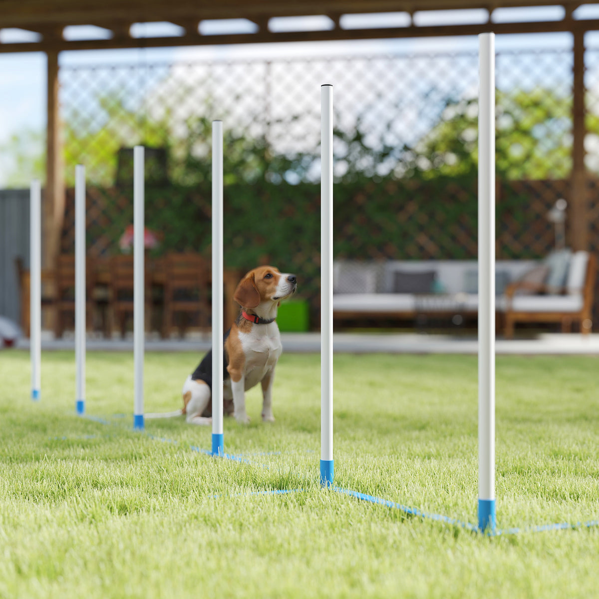 Dog Agility Equipment Training Adjustable Obstacle Course Set with 6 Weaves Poles Storage Bag for Pet Outdoor Games Exercise
