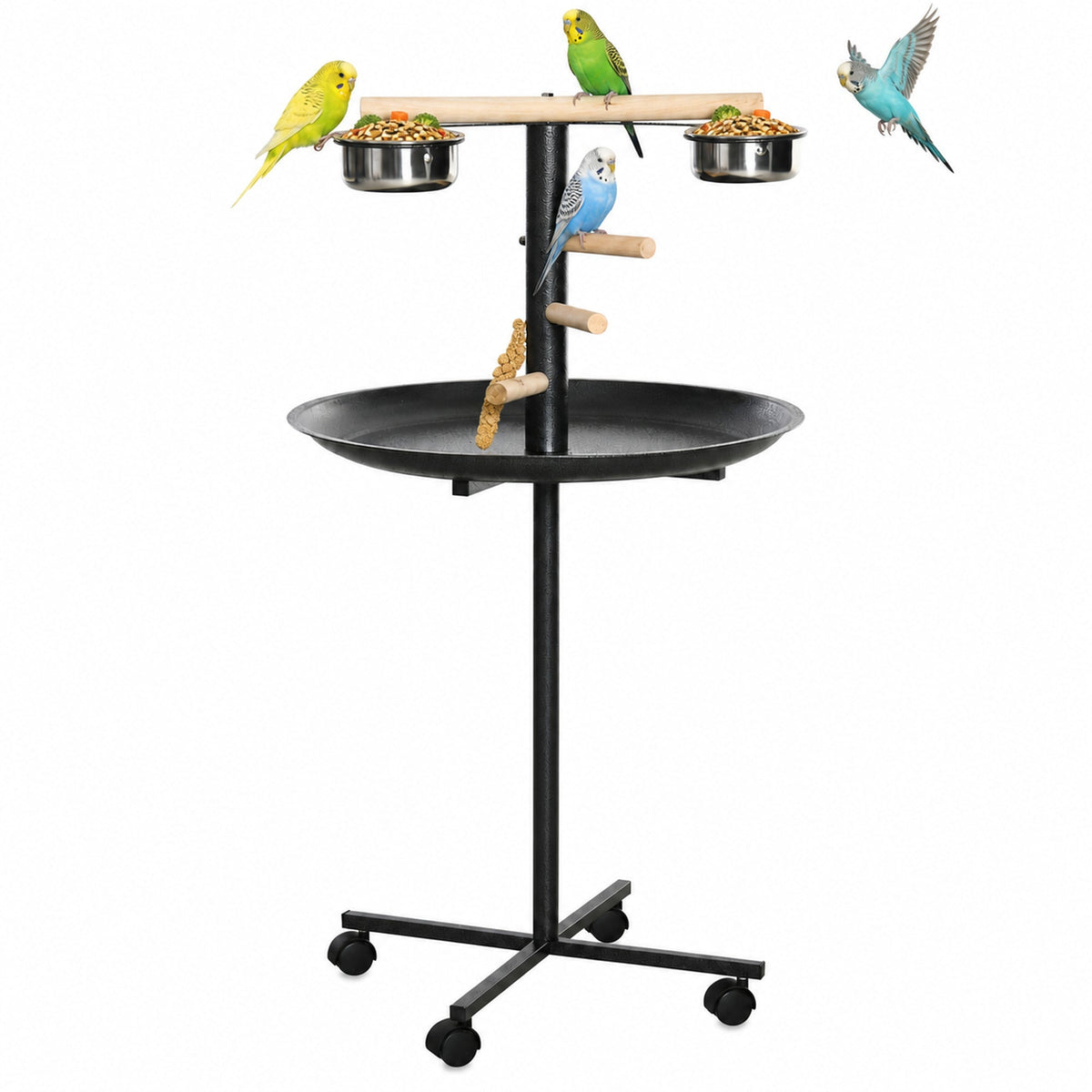 Pet Supplies