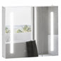 Illuminated Bathroom Mirror Cabinet 650 x 700Hmm LED Bathroom Mirror with Lights Touch Switch, Adjustable Shelf, USB Charge, White