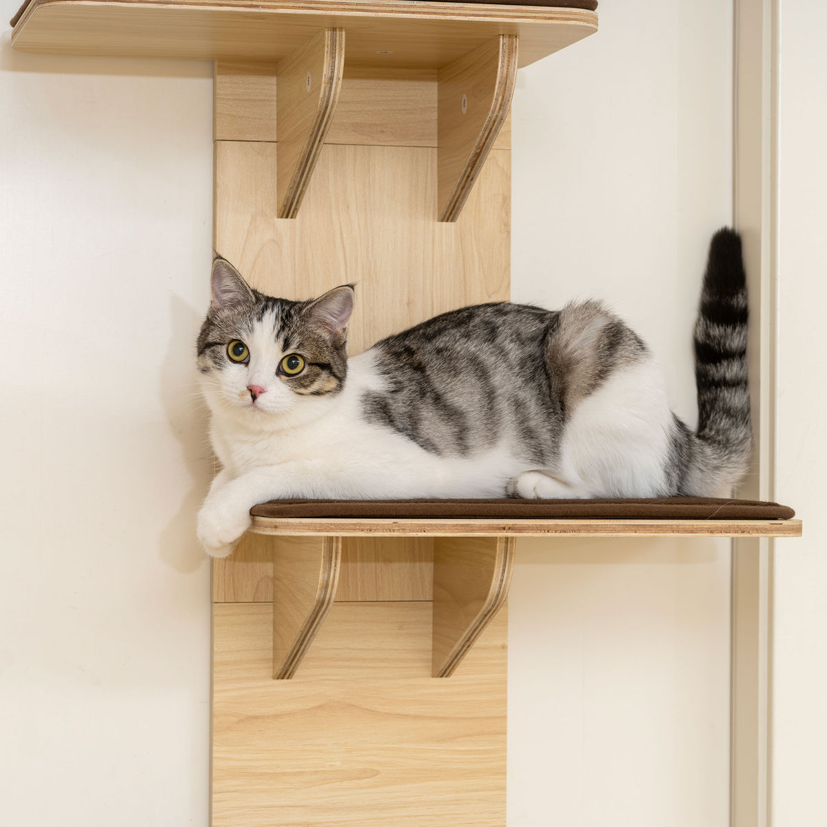 4-Level Door Mounted Cat Tree with Washable Plush Mats, Toy Balls, Door Hanging Cat Shelf for Indoor Cats