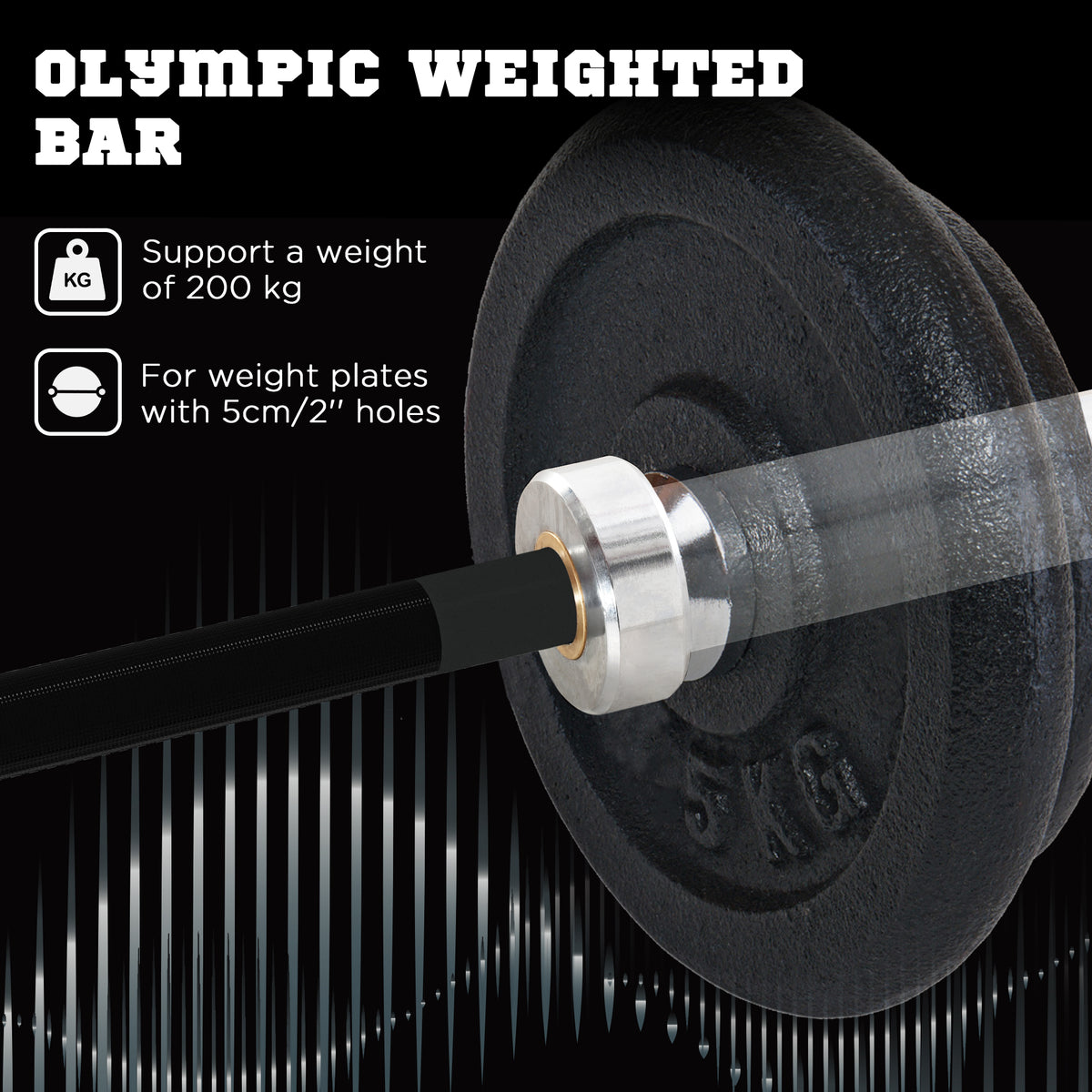 210cm Olympic Barbell Bar for 5cm Weight Plates, with Spring Clips, 19kg