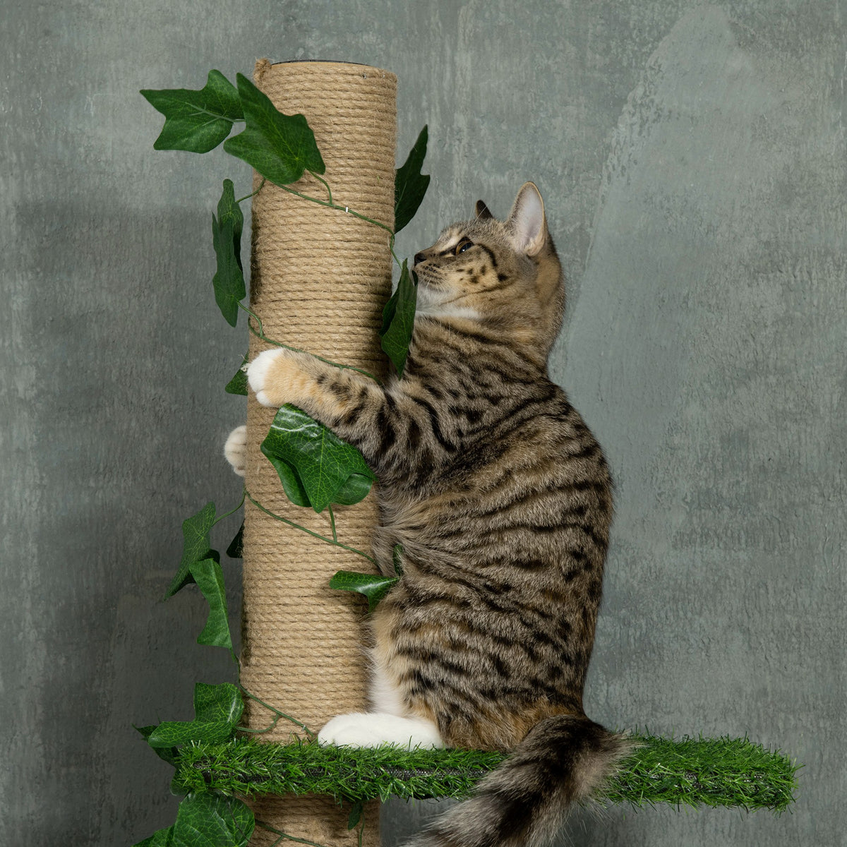 242cm Adjustable Floor-To-Ceiling Cat Tree, with Artificial Decoration, Perches, Anti-Slip Kit - Green