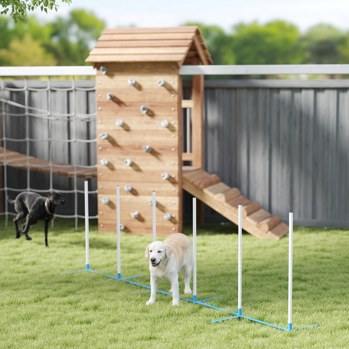 Dog Agility Equipment Training Adjustable Obstacle Course Set with 6 Weaves Poles Storage Bag for Pet Outdoor Games Exercise