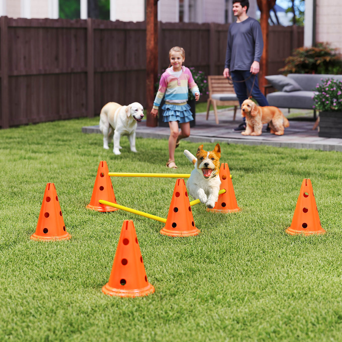 Dog Agility Equipment Set of Six Cones, Six Poles with Carry Bag, Three-Piece Adjustable Height Jumping Obstacles Orange