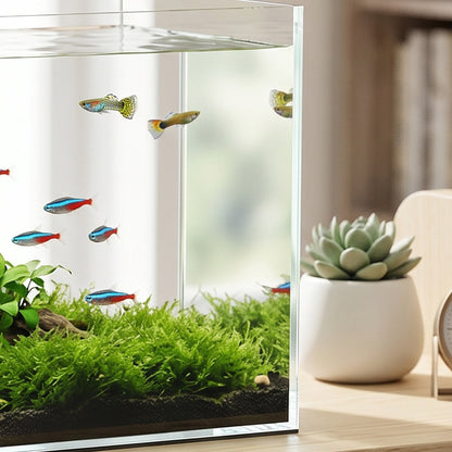Fish Tank Bare Glass for DIY Glass Aquarium with Protective Base Mat 24L Transparent for Fish Shrimps