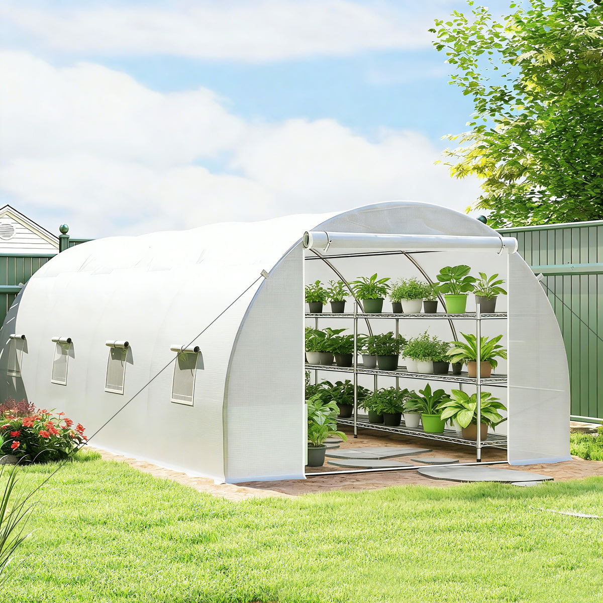 Poly Tunnel for Garden, Walk-in Polytunnel with Door and Roll Up Windows, 6 x 3 x 2 m, White