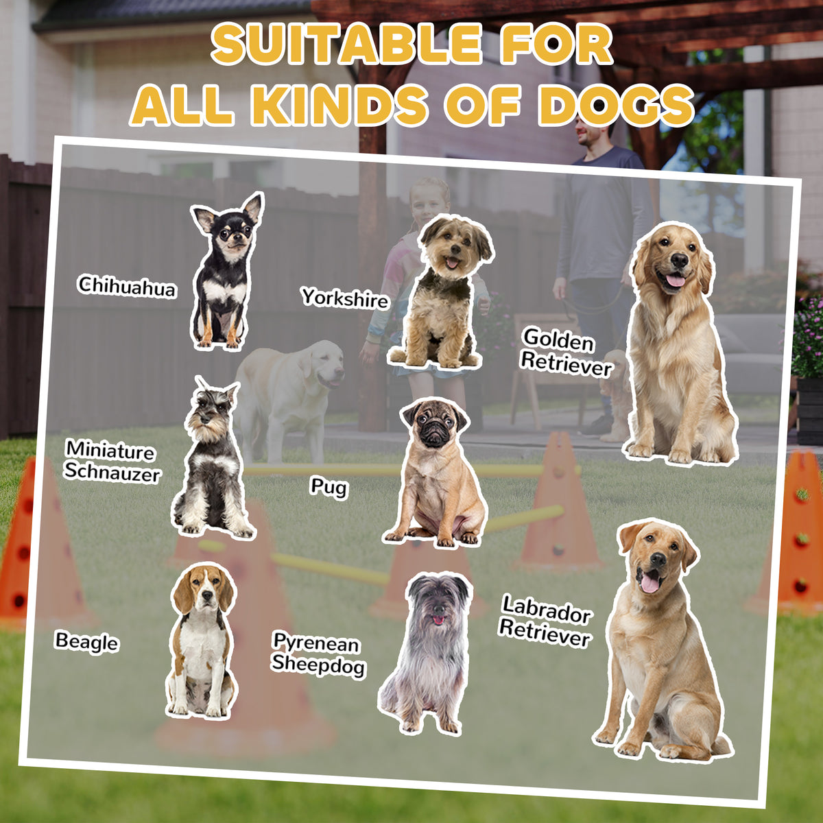 Dog Agility Equipment Set of Six Cones, Six Poles with Carry Bag, Three-Piece Adjustable Height Jumping Obstacles Orange