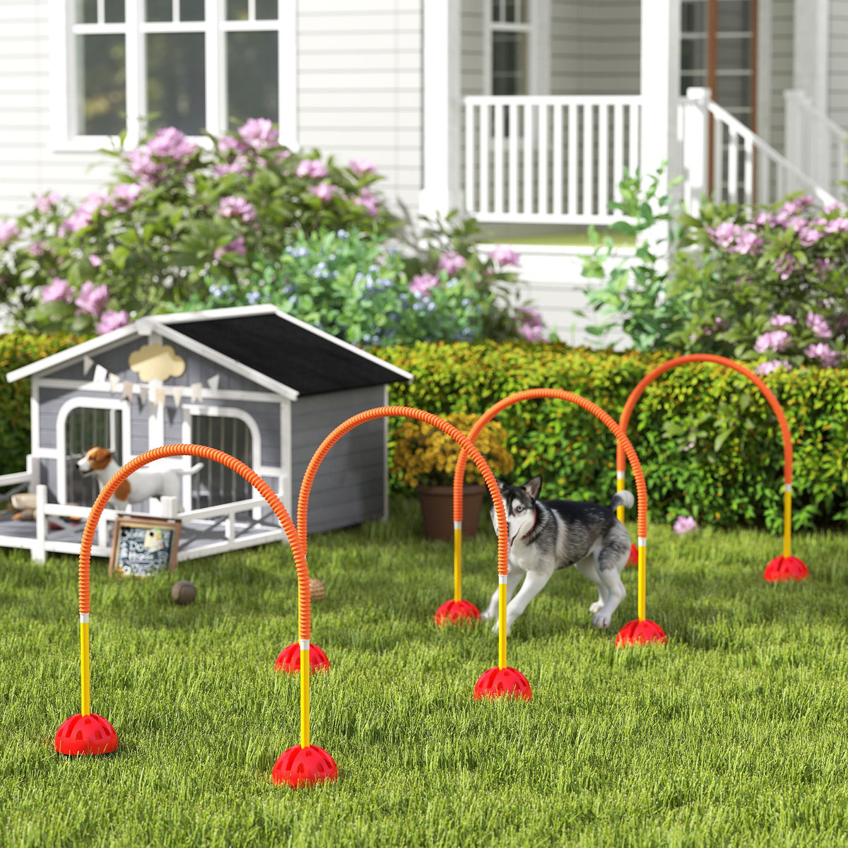 4-Piece Dog Agility Training Equipment with 4 Adjustable Width Doors, Bag, for Garden, Orange