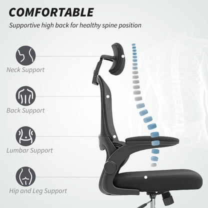Mesh Back Office Chair, with Lumbar Support