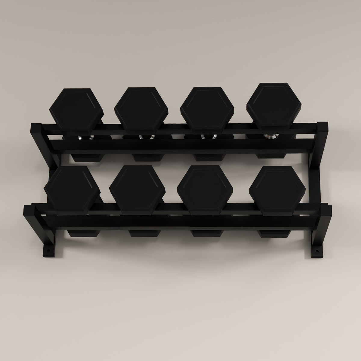 Wall-Mounted Dumbbell Rack, 2-Tier Weight Stand, Space-Saving and Multi-Functional Steel organiser for Home Gym, Black