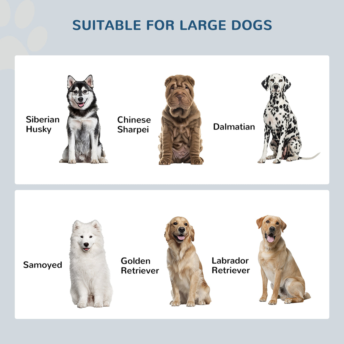 Raised Pet Feeder, with Two Bowls, Storage
