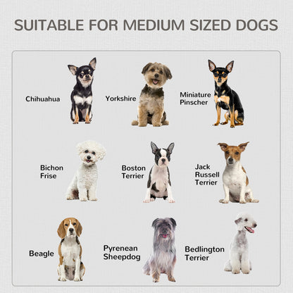 2-in-1 Dog Cage and Side Table, with Two Lockable Doors, for Medium Dogs - White