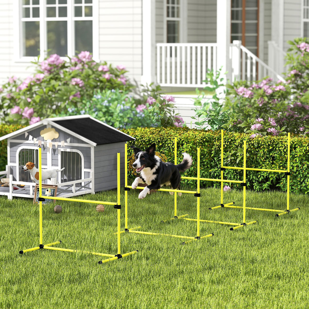 4 Pieces Dog Agility Training Equipment, Adjustable Height Jumps Hurdle with Carrying Bag for Outdoor
