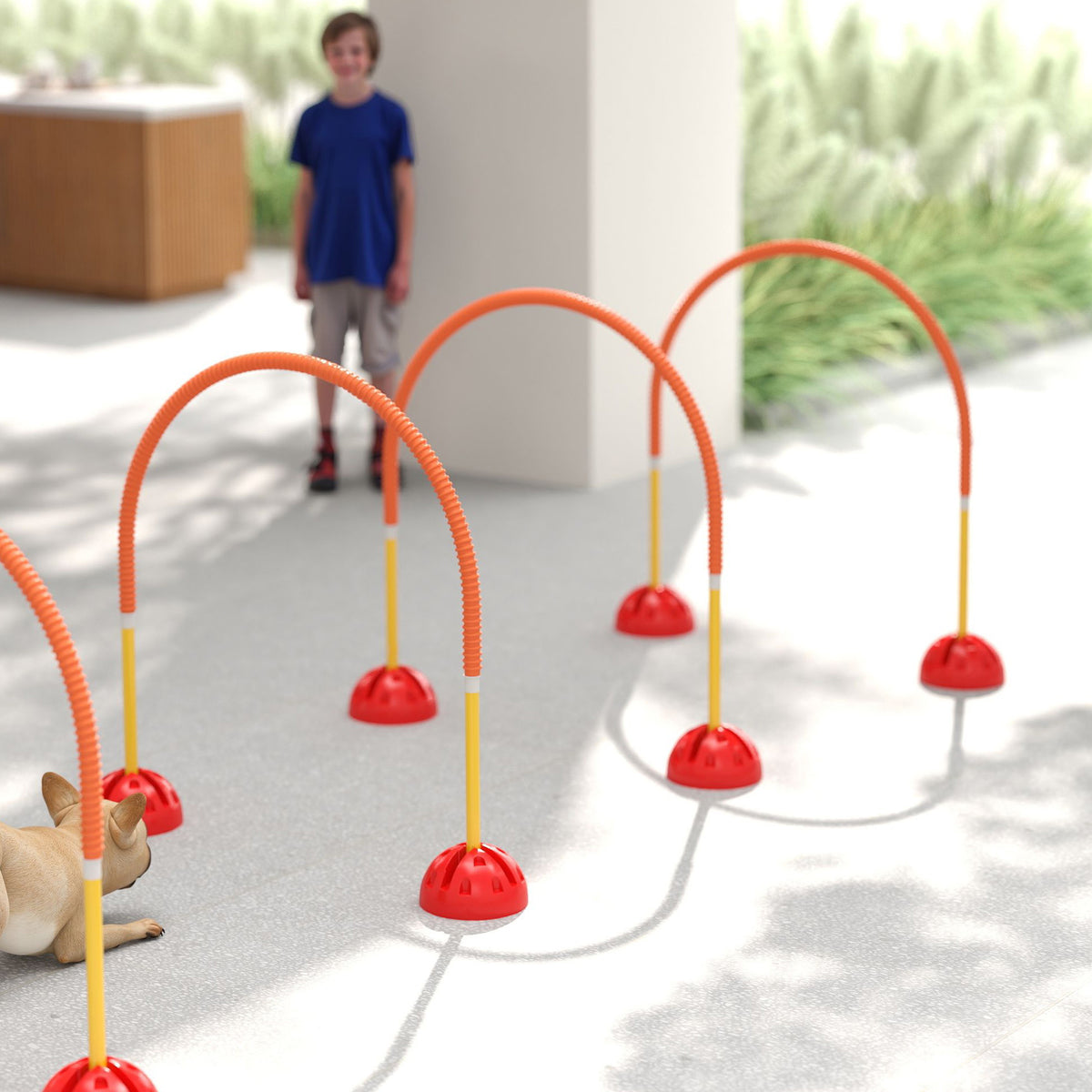 4-Piece Dog Agility Training Equipment with 4 Adjustable Width Doors, Bag, for Garden, Orange