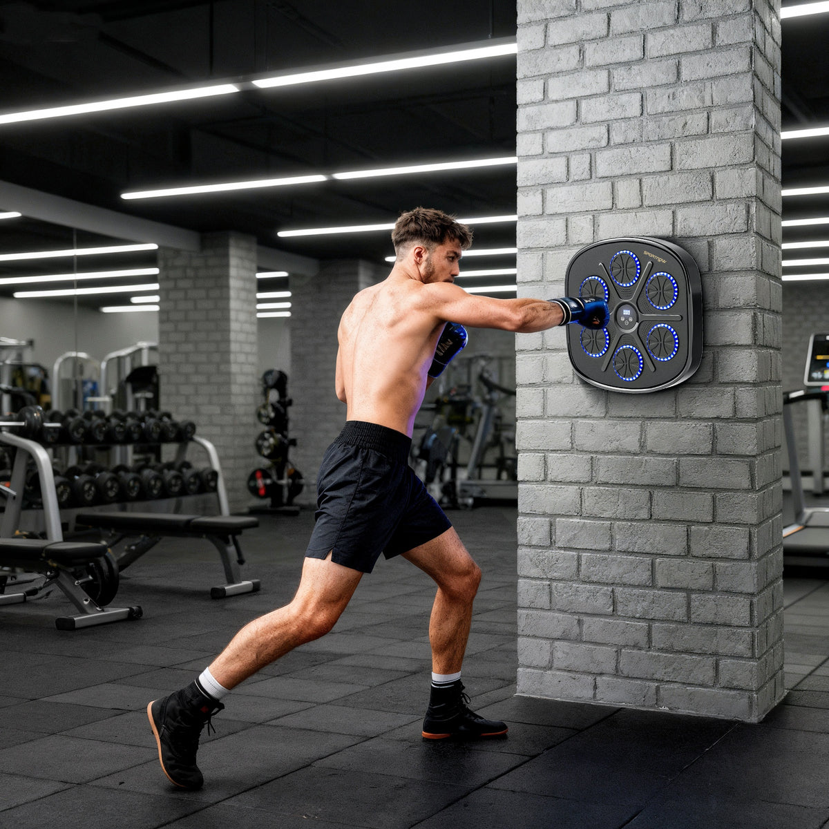 Music Boxing Machine, Smart Bluetooth Boxing Machine Wall Mounted with 9 Speeds & Modes, LED Lights and Gloves, Punching Pad for Adults, Black