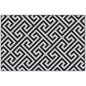 Outdoor Rug Reversible Mat Plastic Straw Rug Portable RV Camping Mat for Garden Deck Picnic Indoor, 121 x 182 cm (4 x 6 ft), Black & White