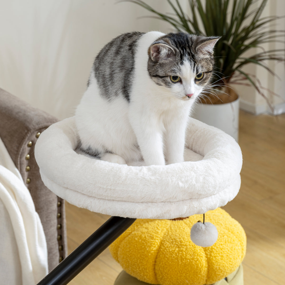 Cat Desk Bed, Cat Hammock 360° Rotatable Adjustable for Window, Table, Work