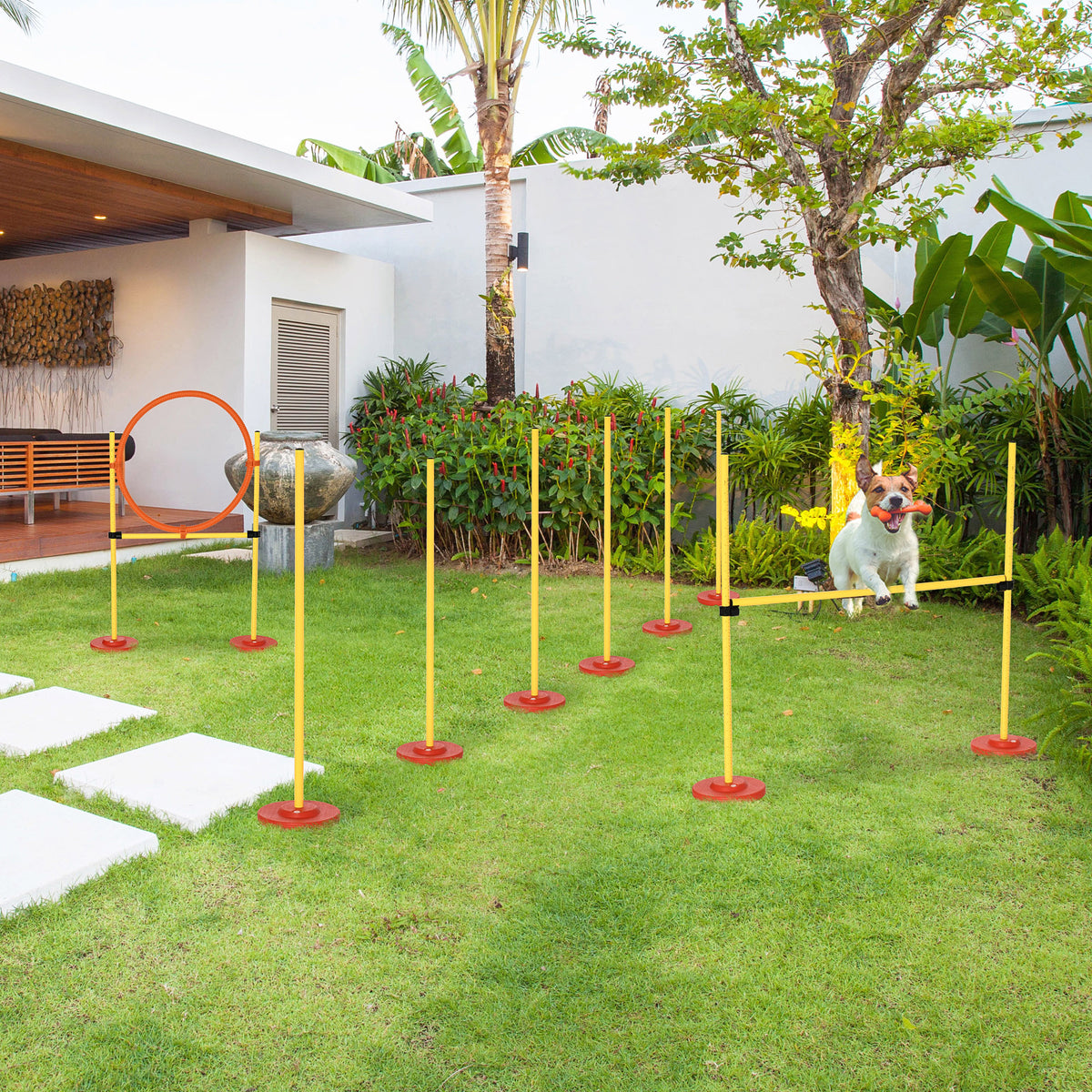 Dog Agility Equipment Training Portable Obstacle for Pet w/Adjustable Hurdles, Jumping Ring, Weave Poles