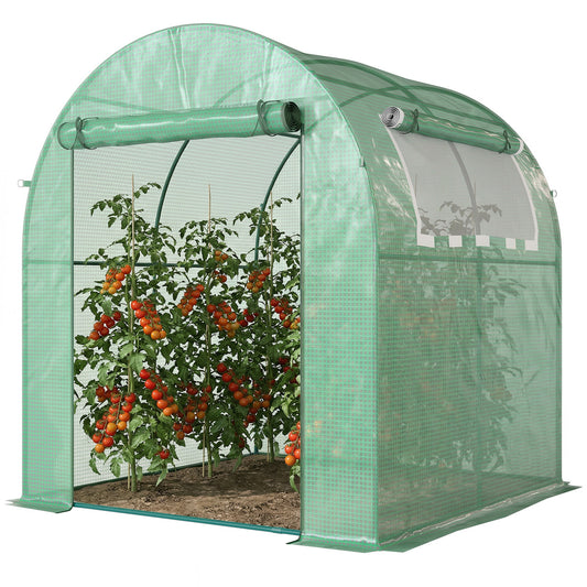 Walk in Polytunnel Greenhouse, Green House for Garden with Roll-up Window and Door, 1.8 x 1.8 x 2 m