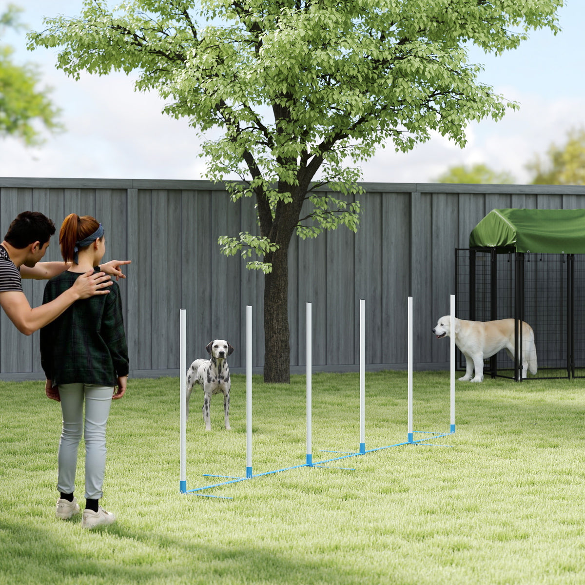 Dog Agility Equipment Training Adjustable Obstacle Course Set with 6 Weaves Poles Storage Bag for Pet Outdoor Games Exercise