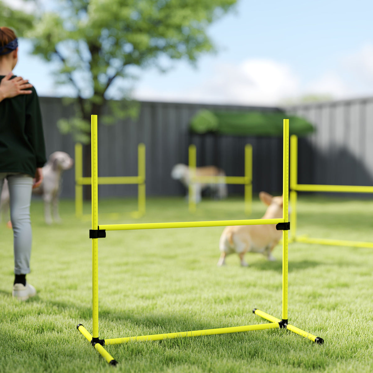 4 Pieces Dog Agility Training Equipment, Adjustable Height Jumps Hurdle with Carrying Bag for Outdoor